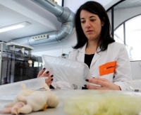 Aimplas crea envases biodegradables que alargan la vida de los alimentos gracias a moléculas de ajo