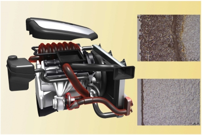 Poliamida altamente estabilizada al calor de Basf