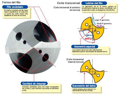 La evolución abre nuevos caminos