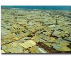 Verde que te quiero plástico