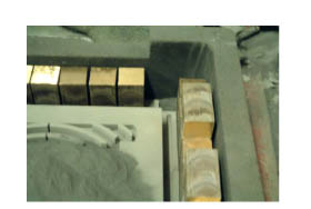 Nuevos horizontes plásticos