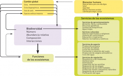 Apuesta por la sostenibilidad
