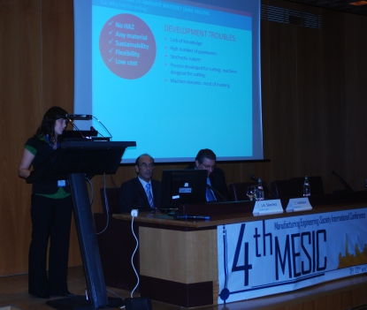 MESIC 2011