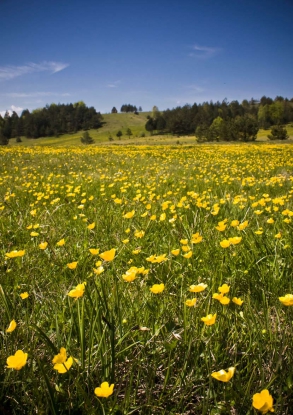 Servicios públicos y medio ambiente