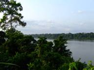 WWF: España, entre los países peor valorados de la UE en la lucha contra las talas ilegales