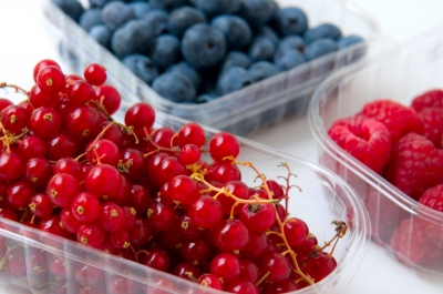 Aitiip Centro Tecnológico se incorpora al Cluster Aragón Innovalimen