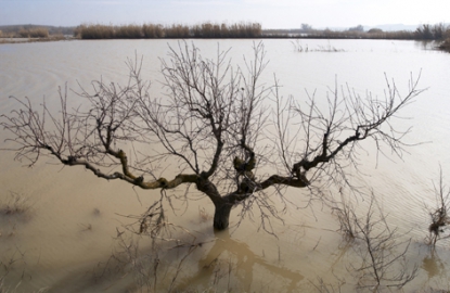 Neiker-Tecnalia participa en el proyecto europeo de capitalización Adaptaclima II