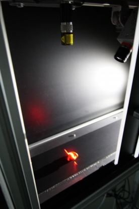 Un final feliz para el Proyecto Flexsort