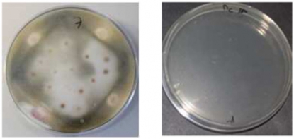 Aditivos, el complemento perfecto en los plásticos
