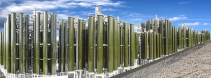 Cultivando plástico en el mar