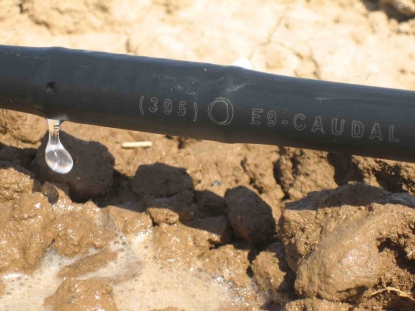 Nuevo material 100% compostable para fabricar sistemas de riego por goteo