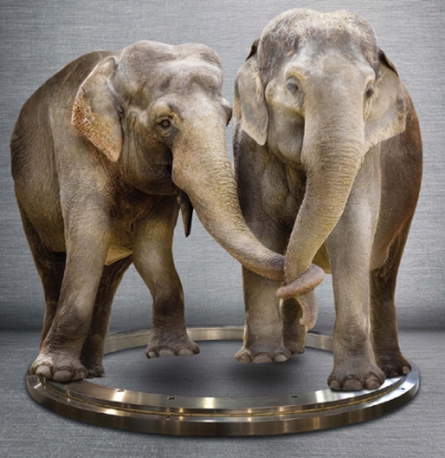 Platos giratorios de igus en siete tamaños distintos