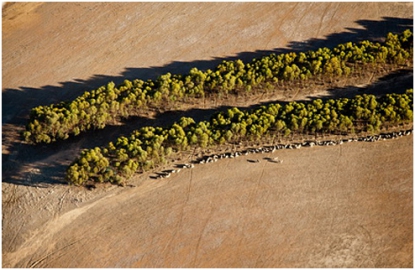 Volando de manera más sostenible
