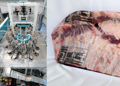 Un gran salto en el mundo del film