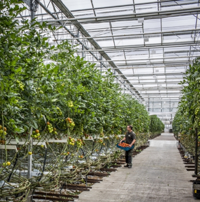 El proyecto de Eficiencia Logística obtiene el Premio de Medio Ambiente de Atlas Copco