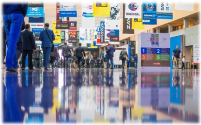 BEC: impacto económico y social en 2014