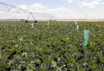 Innovador sistema de bombeo solar directo