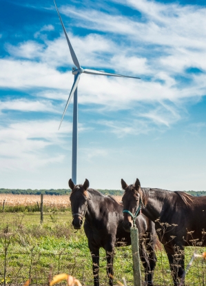 Siemens recibe un pedido de 40 turbinas para el parque eólico Gran Bend en Canadá   