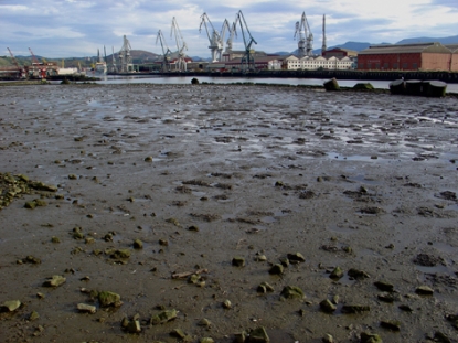 Expertos internacionales presentan en San Sebastián avances para evaluar la calidad del medio ambiente