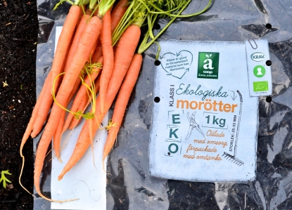 FKuR, Oerlemans Plastics y BK Pac avanzan en el uso de bioplásticos para envases de alimentos sostenibles