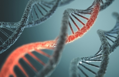 El Centro Nacional de Análisis Genómico (CNAG), primer laboratorio de ensayo acreditado en análisis genómicos