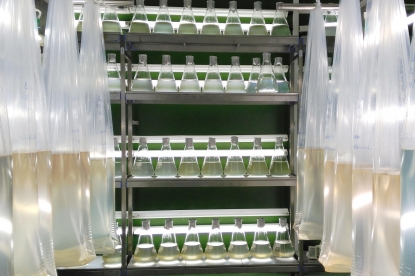 Enac acredita a un proveedor europeo de materiales de referencia en el campo de biotoxinas marinas