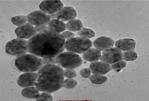 Gaiker-IK4 organiza un workshop sobre diseño seguro para nanomateriales