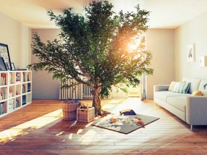 Sagoki apuesta por la bioconstrucción