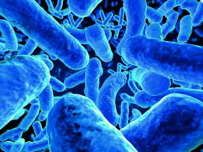 K 2019 fomenta los materiales con valor añadido