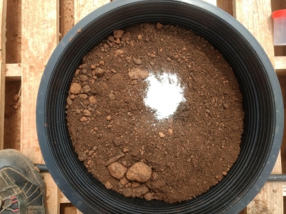 Las plantas de biogás podrían producir 2,7 millones de toneladas de abono natural al año en España