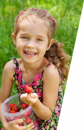 Repsol, referente en seguridad alimentaria