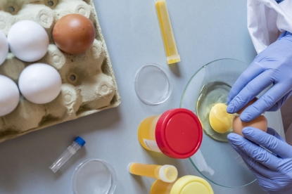 La prevención del fraude alimentario para garantizar la seguridad de los productos con Bureau Veritas