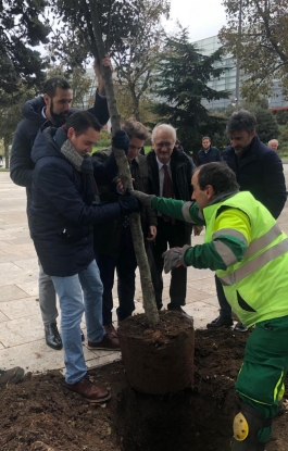 España está lejos de cumplir con la normativa europea en construcción de edificios de consumo casi nulo