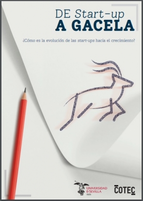 España cuenta con 4.000 empresas gacela o de alto crecimiento