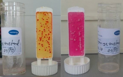 Desinfección térmica de lubricantes refrigerantes