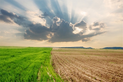 Los verificadores de GEI acreditados por Enac apoyan los objetivos contra el cambio climático