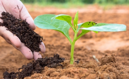 Enac acredita a CAAE para la certificación de insumos en agricultura ecológica según la norma UNE 66500