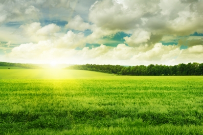 Bureau Veritas se une al Pacto Mundial de la ONU por el desarrollo sostenible