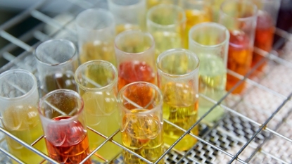 La séptima edición del congreso internacional LUBMAT se celebrará de manera virtual en diciembre