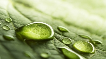 El Índice de Sostenibilidad Corporativa del Dow Jones subraya los méritos de Bureau Veritas