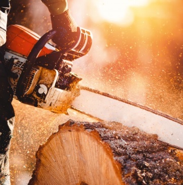 Calzado de seguridad contra cortes