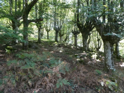 El Gobierno Vasco destina 3,3 millones de euros para apoyar 163 proyectos de desarrollo sostenible