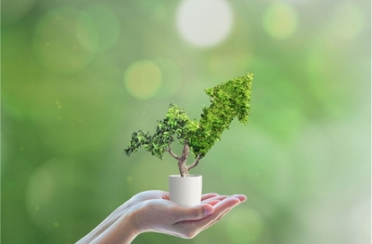 Greenward aboga por crear un Certificado de Ahorro Energético