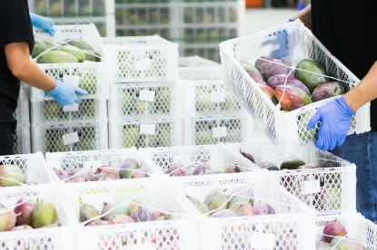 Aenor, autorizada para certificar agentes y brókeres bajo el esquema BRC Global Standards