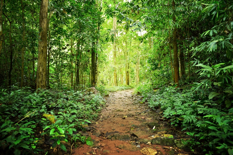 UNE crea el primer comité español de normalización sobre Biodiversidad