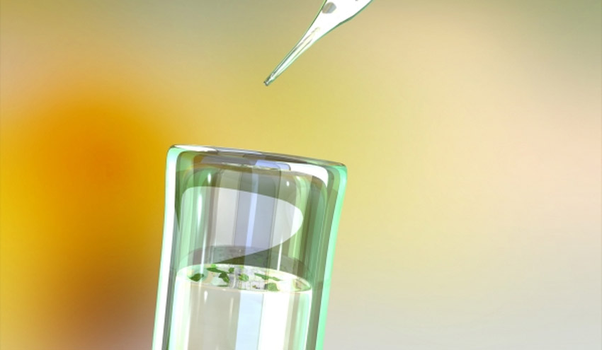 Gaiker trabaja en el desarrollo de nuevas soluciones tecnológicas para la optimización de las biorrefinerías 