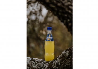 Suntory da a conocer su primer prototipo de botella de PET hecho con materiales 100% vegetales