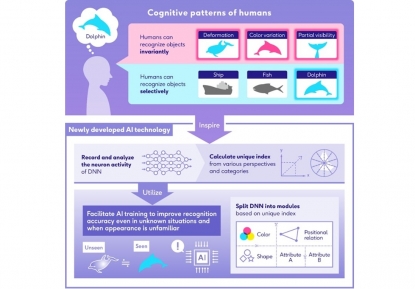 Fujitsu y el CBMM mejoran la precisión de los modelos de IA con redes neuronales profundas