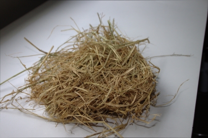 Itene trabaja en la obtención de nanocelulosa para aplicarla en envases, cosmética y fertilizantes