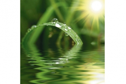 Konica Minolta, incluida en la lista “2022 Global 100 Most Sustainable Corporations in the World”